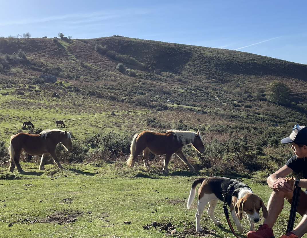 Activités à la montagne